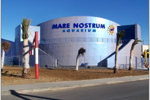 Aquarium Mare Nostrum