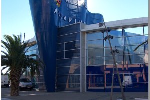 Aquarium Mare Nostrum