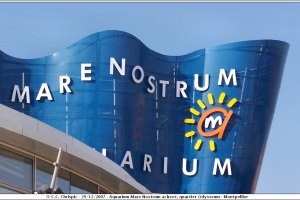 Aquarium Mare Nostrum