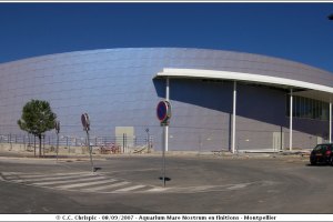 Aquarium Mare Nostrum