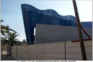 Aquarium Mare Nostrum