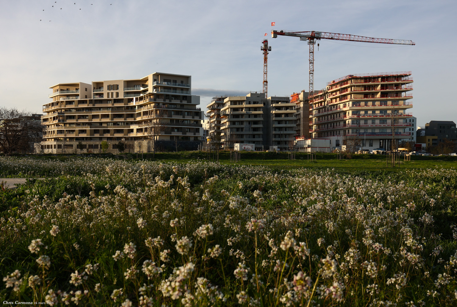 https://www.chrispics.fr/montpelliernonies/chmon18989.jpg