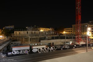 Le Belaroïa