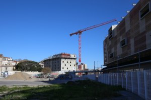 Le Belaroïa