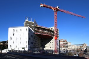 Le Belaroïa