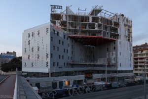 Le Belaroïa