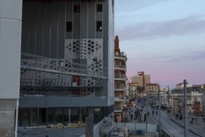 Le Belaroïa